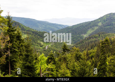 Die schöne Gyilkos-tó und Békási-szoros Stockfoto