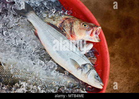 Top down Sicht der täglich frischen Fisch auf Eis in ein rotes Becken Stockfoto