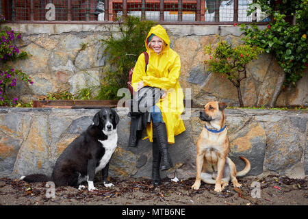 Lächelnd kaukasischen Frauen an ihrem 30s trägt einen gelben Regenmantel und sitzt auf einem Stein Wand zwischen zwei sehr schöne Hunde. Stockfoto