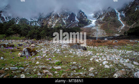 Yumthang Tal, eine beliebte Touristenattraktion und Natur Camp im östlichen Himalaya, Sikkim, Indien Stockfoto