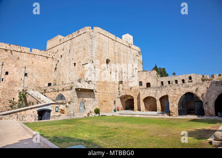 Templer Burg im alten Acre, Akko, westlichen Galiläa, Israel Stockfoto