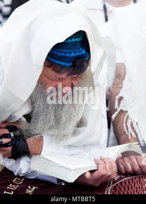 JERUSALEM, Israel - 26. April: Jüdische beten an der Klagemauer auf einem jüdischen Feiertag Israels 64th Tag der Unabhängigkeit am 26. April 2012 in Jerusalem, Stockfoto