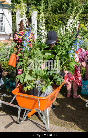Chelsea Flower Show, London Samstag, 27. Mai 2018 Stockfoto