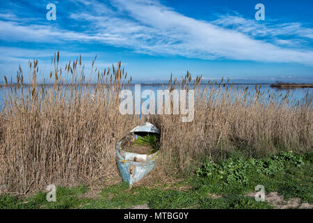 Abandonned Fischerboot in schilfrohr am See Canet Saint-Nazare, Canet-en-Roussillon, Roussillon, Pyrénées-orientales, Frankreich Stockfoto