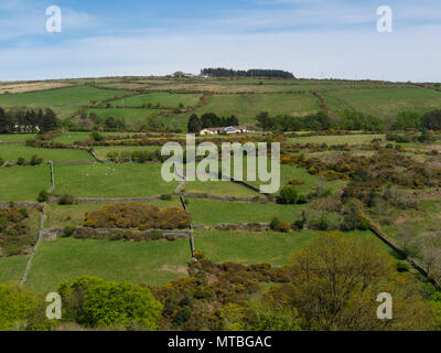 Blick von Snaefell Mountain Railway mit Muster von Trockenmauern Trennung der Felder von der Insel Man Stockfoto