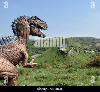 TRex in Corfe Castle Stockfoto