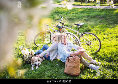 Schönes älteres Ehepaar mit Hund und Fahrräder außerhalb im Frühjahr die Natur. Stockfoto