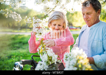Schönes älteres Ehepaar mit Fahrräder außerhalb im Frühjahr die Natur. Stockfoto
