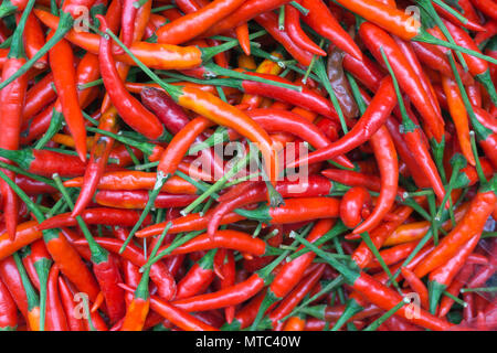 Menge roter Chili peppers Stockfoto