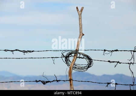 Kabel Fechten ist entlang der Oracle Ridge Trail auf dem Mount Lemmon, Santa Catalina Mountains, Coronado National Forest, Sonoran Wüste, Summerhaven, Stockfoto