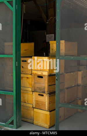 Produzieren Boxen in einer Scheune in Seen Region New Hampshire gespeichert. Molton Farmen ist in Meredith bekannt. Obst, Gemüse, Backwaren, Fisch und Meeresfrüchte. Stockfoto