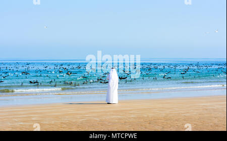 Arabisch Mann fotografieren Schwarm Vögel im Meer Stockfoto