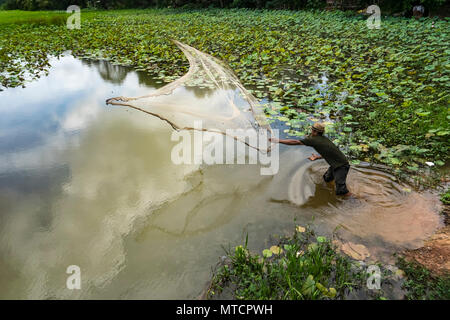 Kambodschanischen Fischer wirft sein Netz. Stockfoto