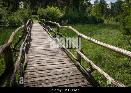 Eine schmale Brücke aus Holz über ein Feuchtgebiet mit Schilf an einem sonnigen Tag im Frühjahr gemacht Stockfoto