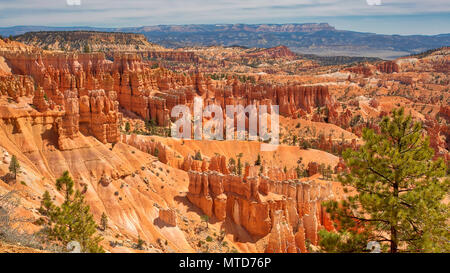 Bryce Panorama von Rim am Sunset Point in Bryce National Park Stockfoto