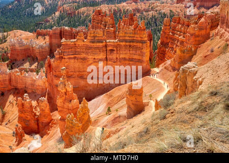 Blick auf die Felge am Sunset Point in Bryce National Park Stockfoto