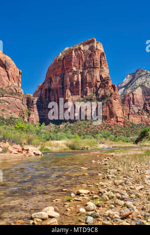 Blick auf das Tal von Angel's Landing auf der Virgin River läuft durch. Zion National Park. Stockfoto