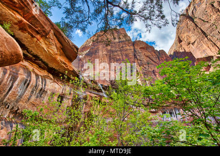 Der Fels Schüssel mit Blick auf die untere Emerald Pool im Zion National Park. Stockfoto