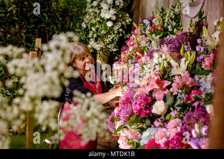 Chichester, Großbritannien. 30. Mai 2018. Chichester Festival der Blumen - den letzten Schliff an die 2018 Veranstaltung, die vom 31. Mai bis 2. Juni läuft. Jane Brickell bei der Arbeit auf Ihrem Display. Quelle: Jim Holden/Alamy leben Nachrichten Stockfoto