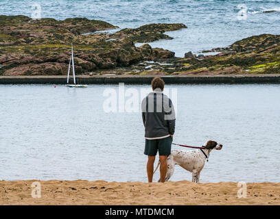 Milsey Bay, North Berwick. East Lothian, Schottland, Vereinigtes Königreich, 30. Mai 2018. Eine funkgesteuerte Kyosho Marine Racing Segelyacht in der Gezeiten- Baden Pool. Ein Mann, ein Zeiger hund Uhren das Modell Boot Stockfoto