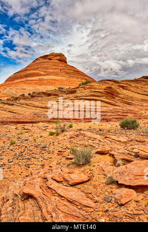 Felsformationen durch ausgedehnte Regen und Wind erosion um Seite, Arizona Stockfoto