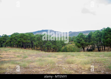 Fotografía tomada en el Monte Abantos, San Lorenzo de El Escorial, España. Stockfoto