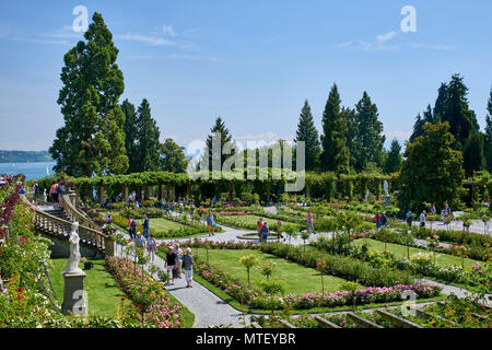 Italienischen Rosengarten auf der Mainau (Blume) Insel, See Konstanz Stockfoto