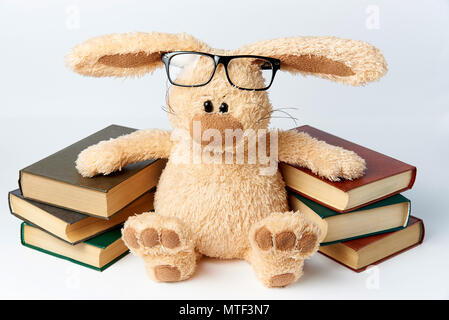 Ein Spielzeug, das Kaninchen in Brille sitzt in der Nähe von Stapel der Bücher. Stockfoto