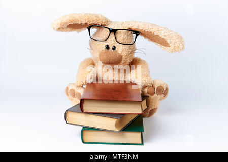 Ein Plüschtier Kaninchen in Brille sitzt mit einem Stapel Bücher. Stockfoto