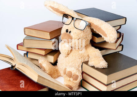 Ein Plüschtier Kaninchen in Brille sitzt im Stapel der Bücher und liest ein Buch. Stockfoto