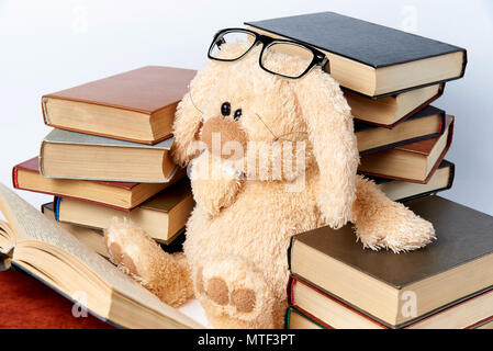 Ein Plüschtier Kaninchen in Brille sitzt im Stapel der Bücher und liest ein Buch. Stockfoto