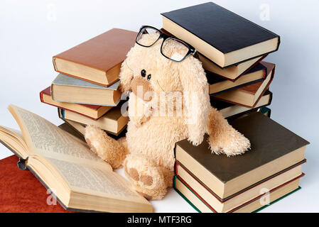 Ein Plüschtier Kaninchen in Brille sitzt im Stapel der Bücher und liest ein Buch. Stockfoto
