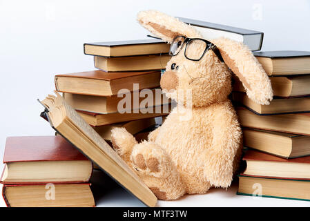 Ein Plüschtier Kaninchen in Brille sitzt im Stapel der Bücher und liest ein Buch. Stockfoto