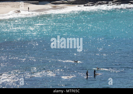 Schwimmen und Surfen am Bronte Beach in Sydney, NSW, Australien Stockfoto