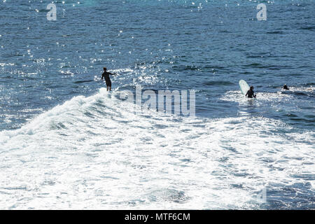 Surfen am Bronte Beach in Sydney, NSW, Australien Stockfoto