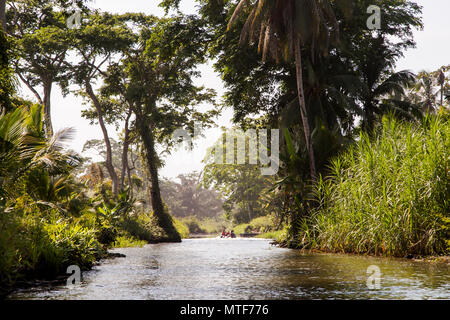 Costa Rica Kanal bei Pacuare am Atlantik bei Reventazón, Costa Rica Stockfoto