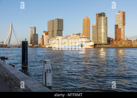 Rotterdam, Skyline auf der Nieuwe Maas, Erasmus Brücke und Wolkenkratzer im "Kop van Zuid" Bezirk, Kreuzfahrtschiff "Aida Perla' am Cruise Terminal, Stockfoto