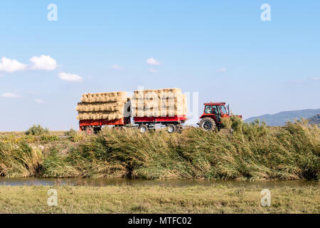 Traktor Transporte Heuballen, Türkei Stockfoto