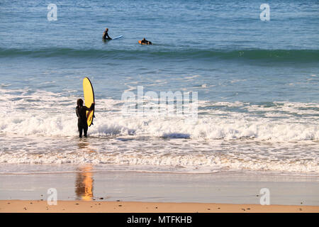Ein Mann, der sein Brett zu Surfen mit anderen Surfern am Strand von El Palmar, an der Küste von Cadiz, Spanien Stockfoto