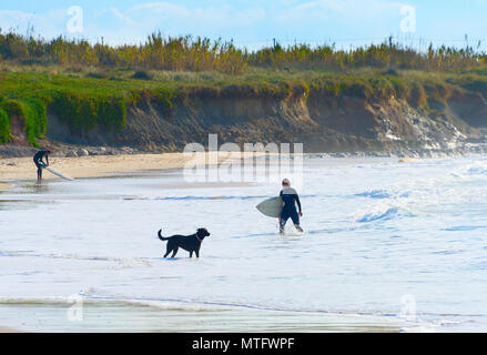 Frau Surfer mit Surfbrett und einen Hund auf dem Ocean Beach. Baleal, Portugal Stockfoto