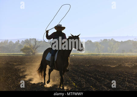 Eine mexikanische COWBOY galoppiert in Dämmert früh Licht - San Miguel de Allende, Mexiko Stockfoto