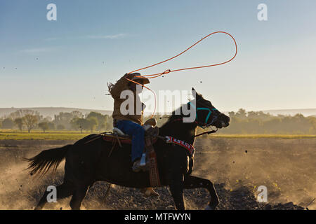 Eine mexikanische COWBOY galoppiert in Dämmert früh Licht - San Miguel de Allende, Mexiko Stockfoto