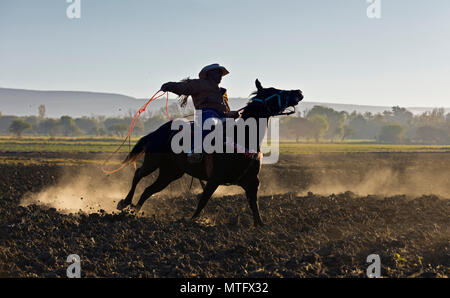 Eine mexikanische COWBOY galoppiert in Dämmert früh Licht - San Miguel de Allende, Mexiko Stockfoto