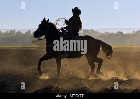 Eine mexikanische COWBOY galoppiert in Dämmert früh Licht - San Miguel de Allende, Mexiko Stockfoto