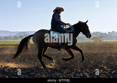 Eine mexikanische COWBOY galoppiert in Dämmert früh Licht - San Miguel de Allende, Mexiko Stockfoto