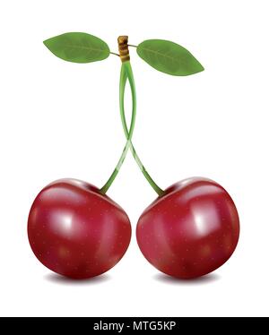 Red Cherry Beeren mit Blättern reif. Vektor Stock Vektor
