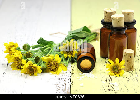 Homöopathische Arnika Pillen in braunen Flaschen auf hölzernen Hintergrund Stockfoto