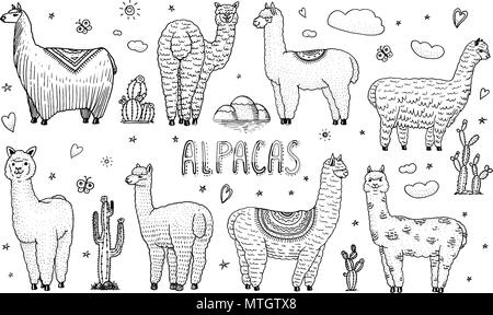 Satz von niedlichen Alpakas Lamas oder wildlebenden Guanako auf dem Hintergrund von Kakteen und Berg. Fröhlich lächelnd Tiere in Peru für Karten, Plakate, Einladungen, t-shirts. Hand gezeichneten Elemente. Graviert Skizze. Stock Vektor