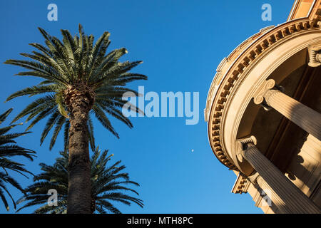 Palm Tree, Mond und Gebäude in Sydney, New South Wales, Australien Stockfoto