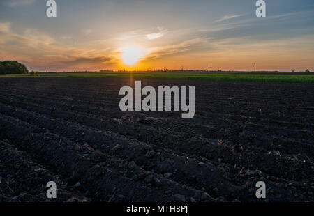 Landwirtschaftliche Acker gepflügt. Landschaft mit landwirtschaftlichen Flächen, die vor Kurzem gepflügt und für die Ernte im Sonnenuntergang vorbereitet. Die Landwirtschaft. Stockfoto